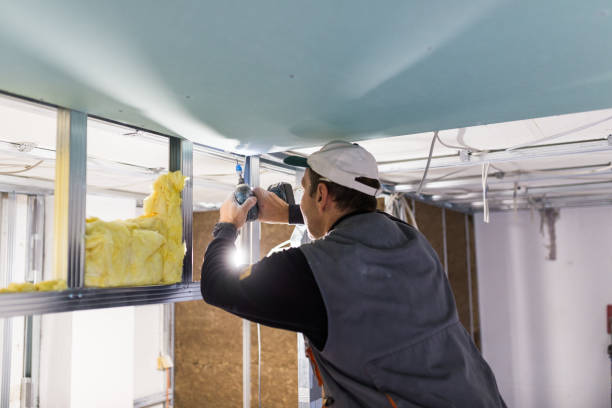 Best Insulation for Specific Applications in Dentsville, SC