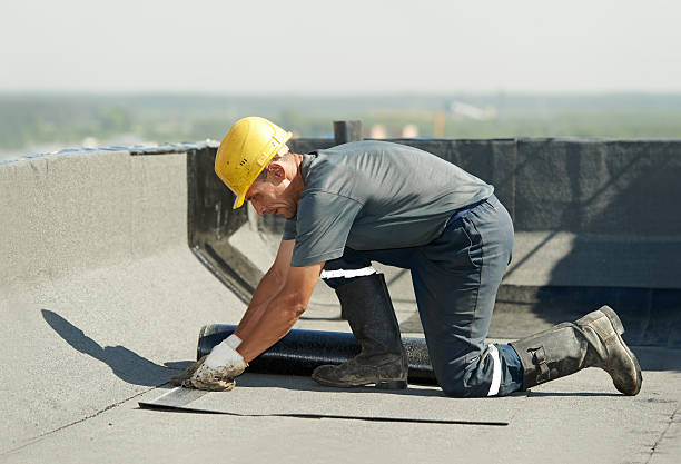 Best Residential Insulation in Dentsville, SC